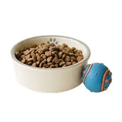 Acessórios Pet