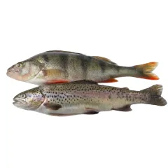 Peixes